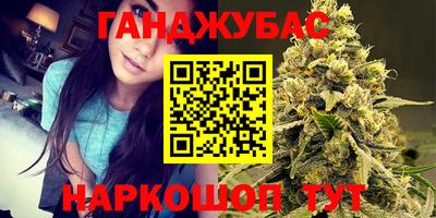 гашик Гатчина