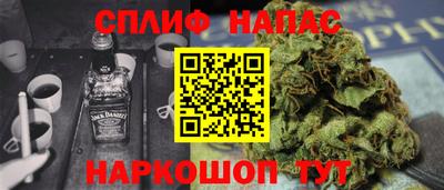 гашик Гатчина