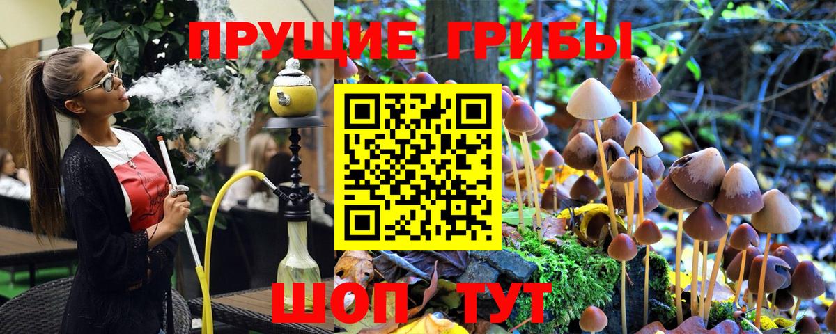 Псилоцибиновые грибы мухоморы  Псилоцибиновые грибы мухоморы  Жуковский  Вход с VPN 