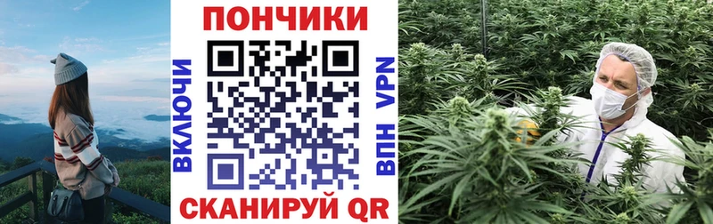 продажа наркотиков  мега ONION  Конопля Bruce Banner  Жуковский 